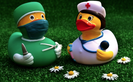 Ipocondria-Formica-Argentina